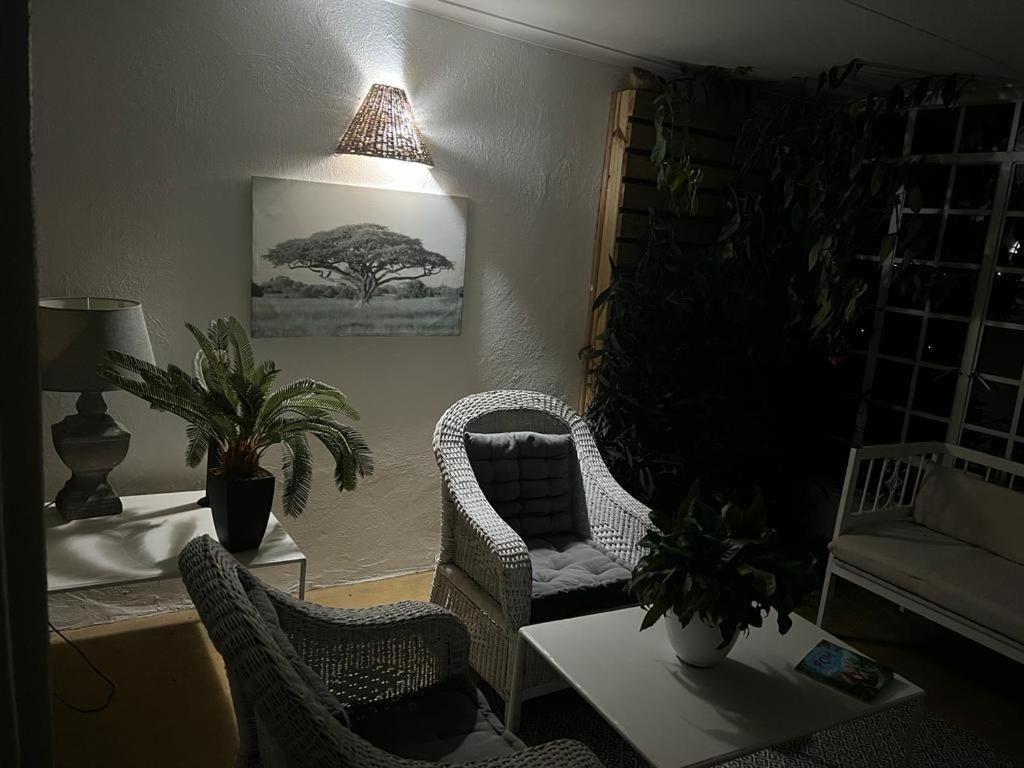 アシュボーン ヘイジービュー Bed & Breakfast エクステリア 写真